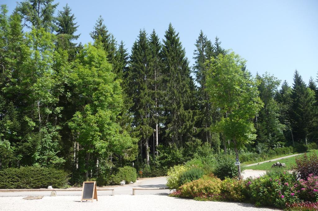 Domaine De La Sapiniere Hotel Thorens-Glières Exterior foto